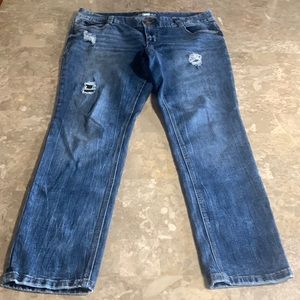 Maurices Blue Distressed Women Jeans